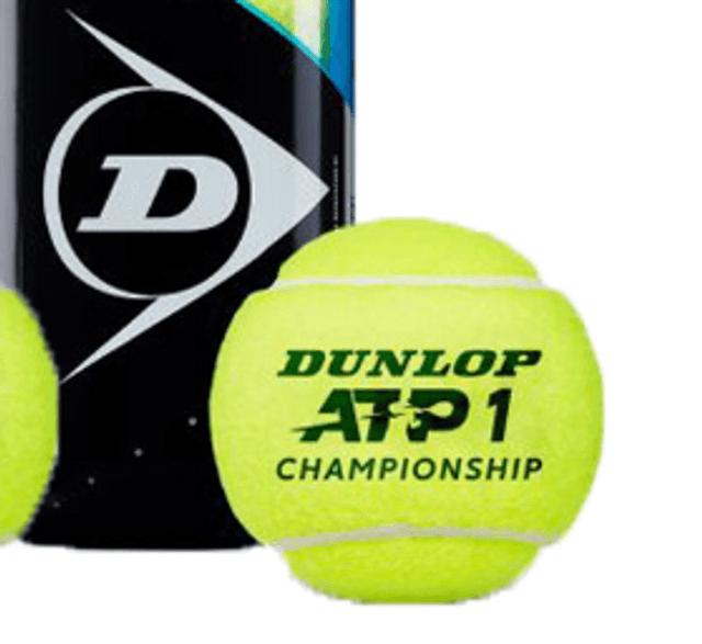 Dunlop ATP Championship Balls (Can of 4)